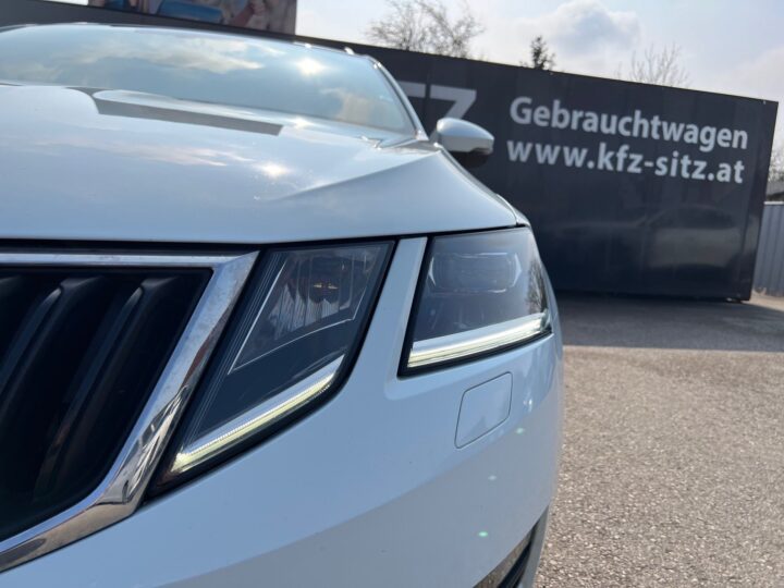 Abbildung Fahrzeugdetailansicht Skoda Octavia - Nr. 35