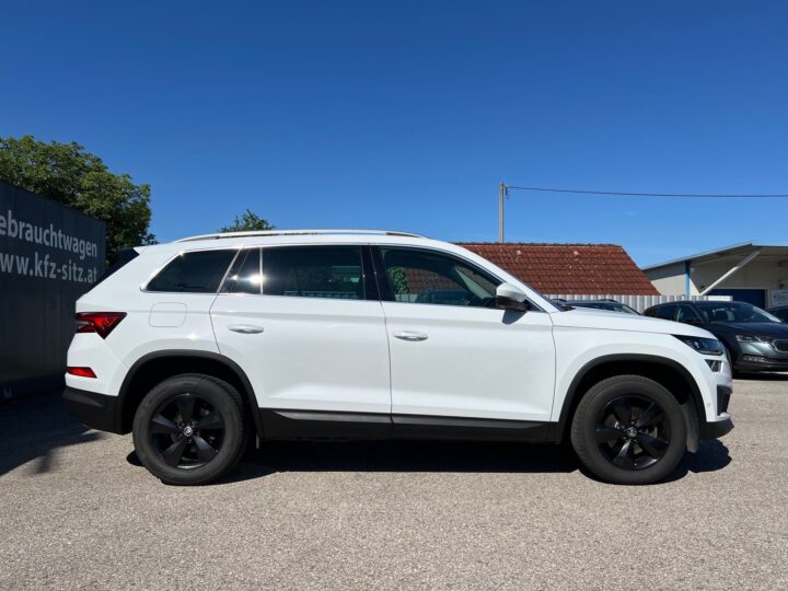 Abbildung Fahrzeugdetailansicht Skoda Kodiaq - Nr. 1