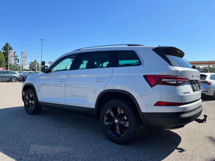 Abbildung Fahrzeugdetailansicht Skoda Kodiaq - Nr. 4