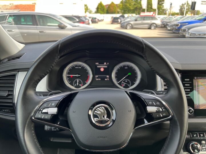 Abbildung Fahrzeugdetailansicht Skoda Kodiaq - Nr. 15