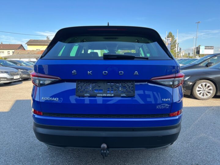 Abbildung Fahrzeugdetailansicht Skoda Kodiaq - Nr. 3
