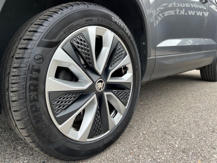 Abbildung Fahrzeugdetailansicht Skoda Karoq - Nr. 36